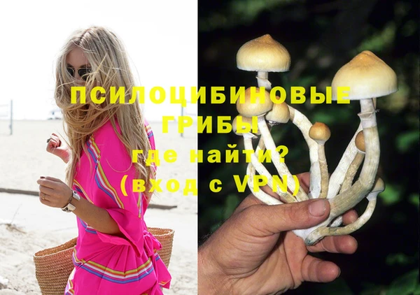 бошки Алзамай