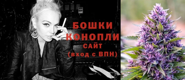 скорость Болотное