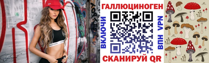 Псилоцибиновые грибы Psilocybe  OMG сайт  Яхрома  где найти  